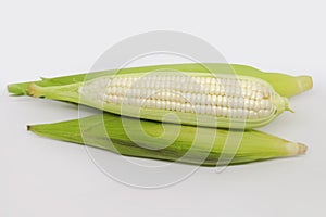 White Maize Corn