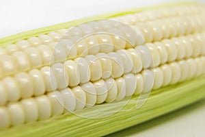 White Maize Corn