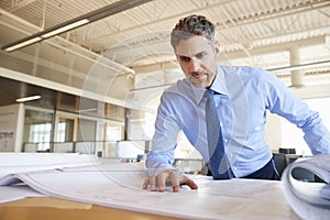 White male architect looking at plans in office, close up