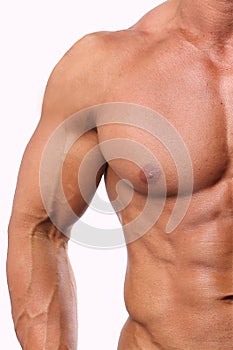 White male torso