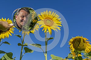 A white man is reflected in a mirror in the middle of a field of sunflowers on a sunny day