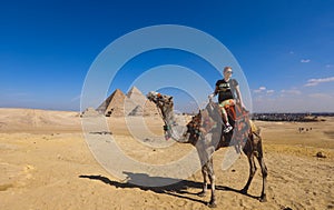 White Man and Woman Tourists are Riding on the Camels with the Great Pyramid on Background in Giza
