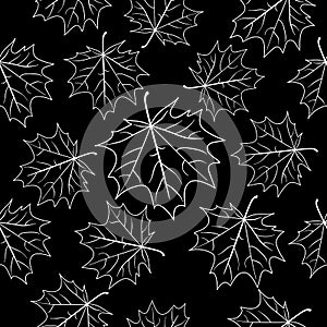 White maple leaves over black, seamless pattern. Autumn vector background.