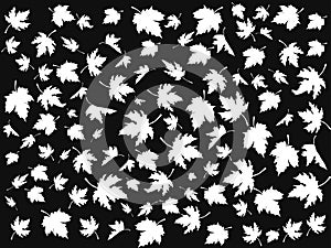 White maple seamless patterns on black background