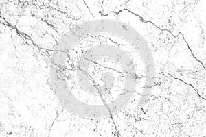 White Marble background.