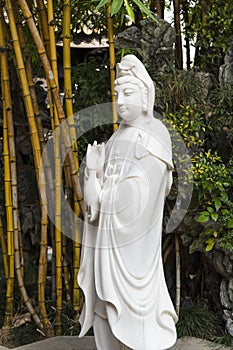 buddha Mercy Goddess, Guanyin Bodhisattva