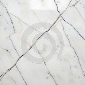 White marble with distinctive gray veining patterns crisscros