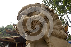 White marble guarding lionstatue at Emeishan (Mount Emei) Sichuan, China