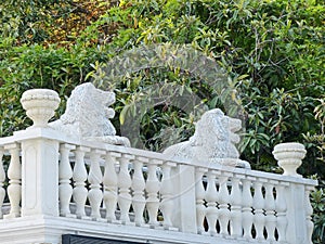White marble lions in the Park of the Livadia Palace. Palace built in the tradition of the Italian Renaissance with elements