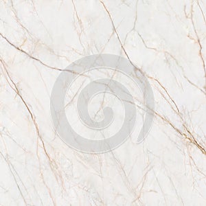 white marble patterned