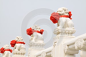 white marble statue of the material stone lions, Chinese traditional art style