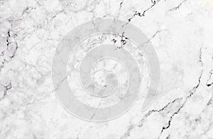 White marble texture with lots of bold contrasting veining