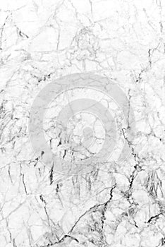 White marble texture with subtle grey veins