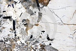 White marble with veins and gray-brown inclusions photo