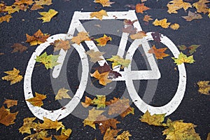 White mark bicycle lane at