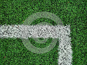 White marking line on a green soccer field