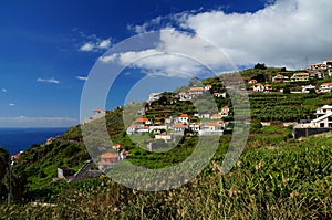 White mediterranean houses on a steep hillside surrounded by banana plantations.