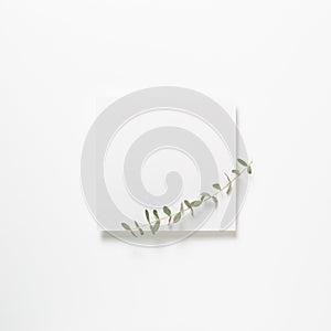 White memo pad, empty paper with eucalyptus leaves on white background