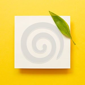 White memo pad with green leaf on yellow background