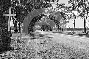 A white memorial cross on a tree marks the place of a road fatal