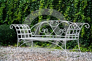 White metal garden bench with plant wall background