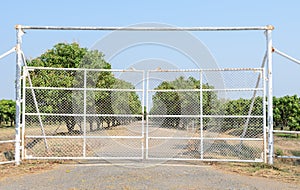 White metal gate of mango fruit farm