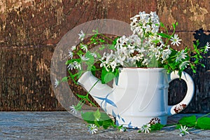 White metal teapot vase with a bouquet of white lilac flowers and grass woodlouse with green leaves.Background with a copy of the