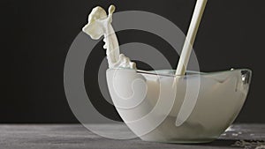 White milk is poured into a glass bowl on a black background. The milk splash falls out of the bowl on the gray table