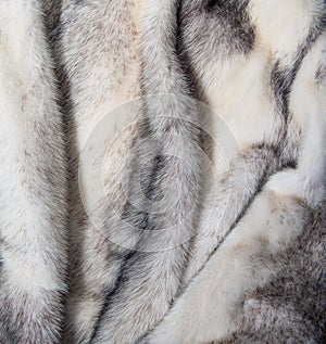 White mink fur texture background