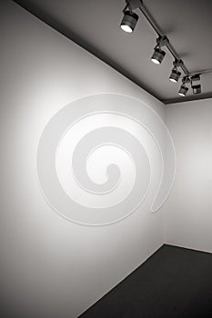 White modern gallery wall