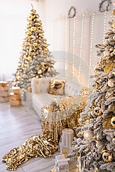 white modern new year interior with two Christmas trees decorated, golden textile, golden presents