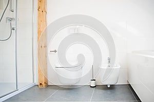 White modern toilet and bidet