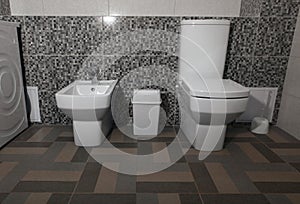 White modern toilet and bidet