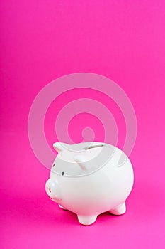 White Money Save Pig on Pink Background Copy Space