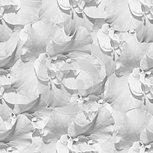 White monochrome seamless background with azaleas