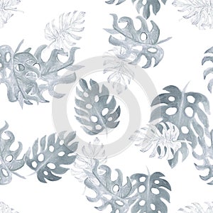White Monstera Pattern Backdrop. Seamless Plant. Gray Watercolor Illustration. Tropical Foliage. Floral Backdrop. Summer Decor. Vi