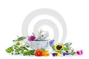 Ceramic mortar with herbs and fresh medicinal plants on white Preparing medicinal plants for phytotherapyand health photo