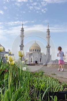 The White Mosque and the girl are out of focus. Yellow tulips in the foreground