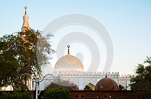 White mosque in the green palms in Egypt