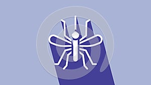 White Mosquito icon isolated on purple background. 4K Video motion graphic animation
