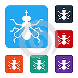 White Mosquito icon isolated on white background. Set icons in color square buttons. Vector