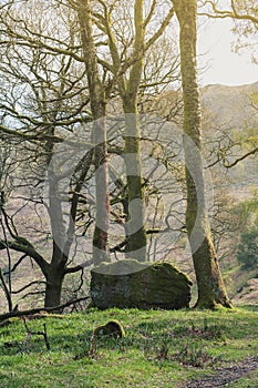 White Moss Walks, scenic forest recreational area by River Rothay in Ambleside, Lake District National Park in South Lakeland, UK