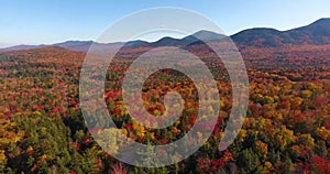 White mountain fall foliage, New Hampshire NH, USA.