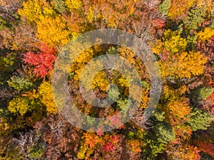 White Mountain National Forest aerial view, New Hampshire, USA