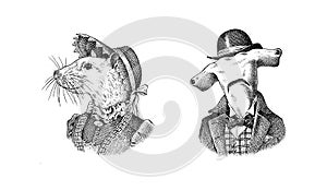White Mouse and Great hammerhead shark in hat and suit. Victorian lady or woman and man. Fashion animal character
