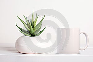 White Mug Mockup, next to a cactus in a white pot.