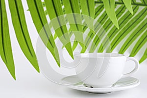 White mug and saucer on a white background, near palm leaves. A set of porcelain or ceramic dishes. Copy space