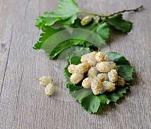 White mulberries photo