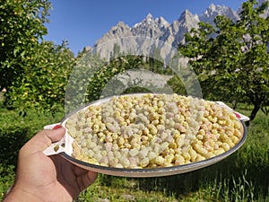 White mulberry in a dish