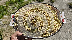 White mulberry in a dish